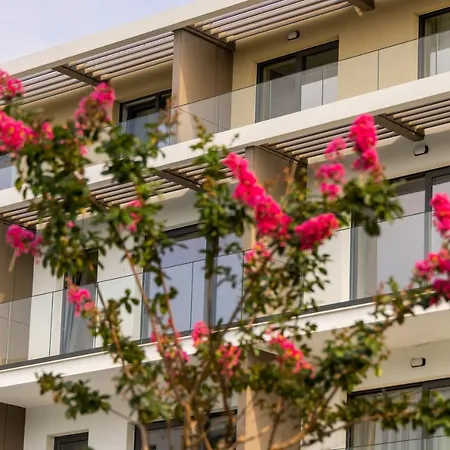 Open Sea Bjala