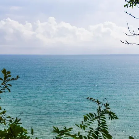 Open Sea *